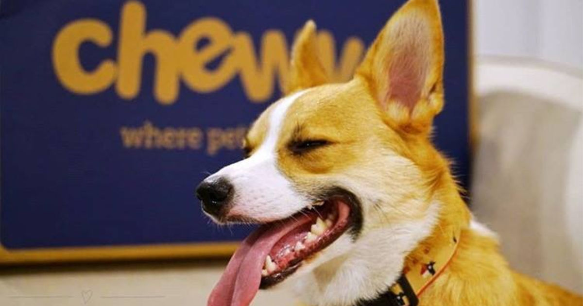 NEW Chewy Promo Codes Up to 70 Off Pet Food Toys