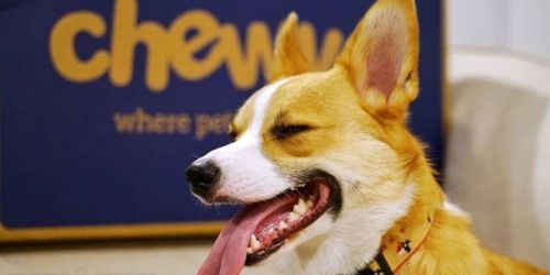 NEW Chewy Promo Codes = Up to 70% Off Pet Food, Toys & Supplies, & More
