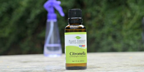 Plant Therapy Essential Oils Only $4 Shipped (Select Varieties)