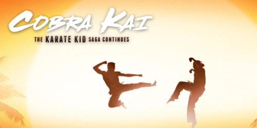 Cobra Kai Season One to OWN Only $9.99 (Based on The Karate Kid film Series!)