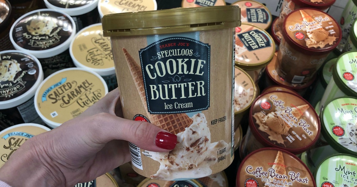 Ninja Creami Cookie Butter Ice Cream - Fork To Spoon