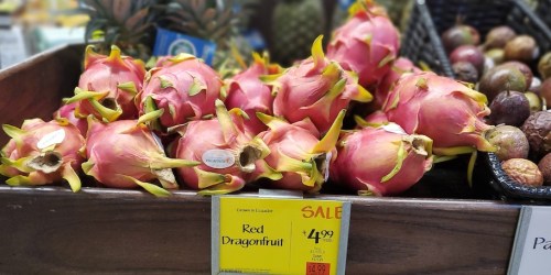 8 Cool Things You Can Try Before You Buy Completely FREE of Charge!