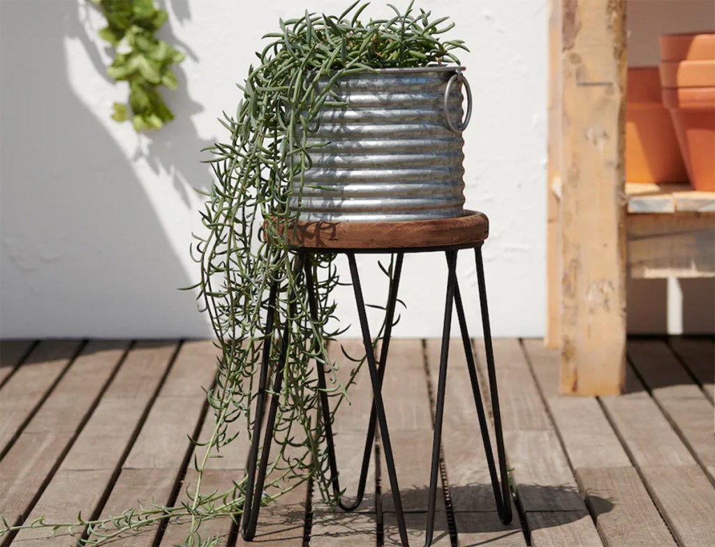 plant inside galvanized pot and stand