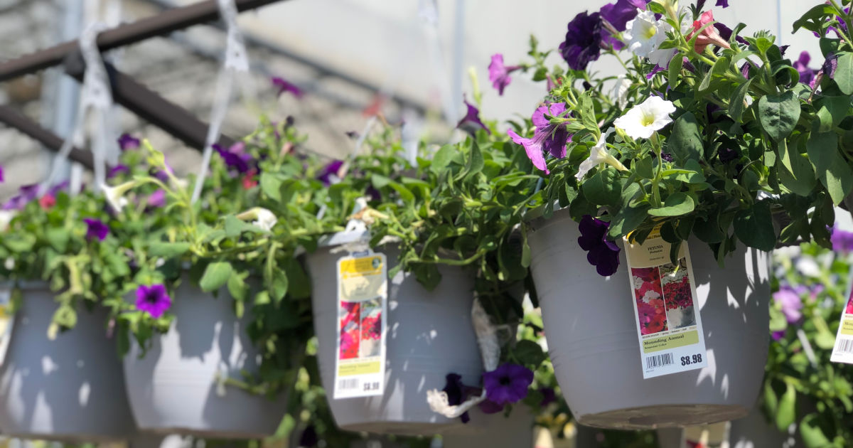 Lowe's Memorial Day Sale LIVE NOW (InStore & Online)