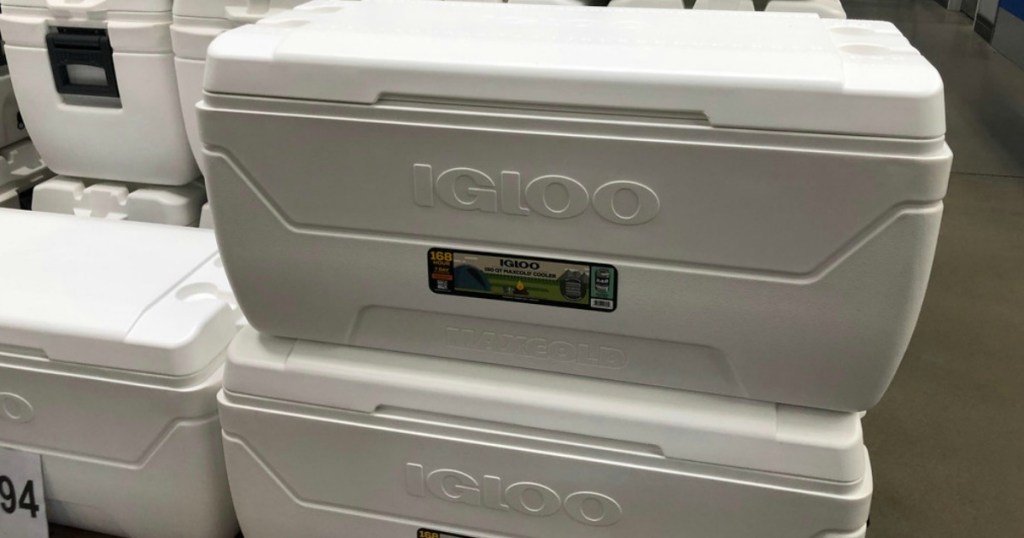 IGLOO White cooler in store