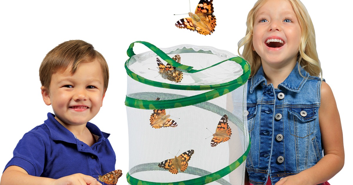 Insect Lore Butterfly Garden w/ LIVE Caterpillars Only $19 at