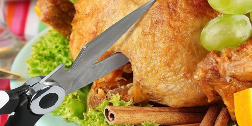 Amazon: Heavy Duty Kitchen Scissors Only $3