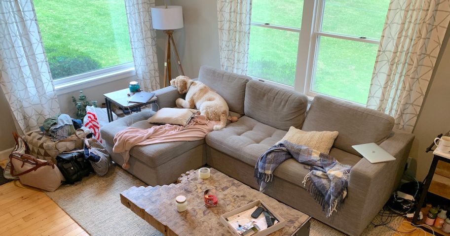 living room with gray sectional and dog looking out windows