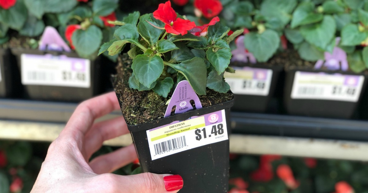 Lowe's Memorial Day 2Day Deals (May 25 & 26th) InStore Only