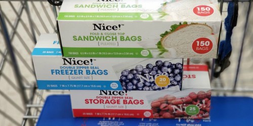 Nice! Sandwich, Storage & Freezer Bags Only 99¢ at Walgreens (In-Store & Online)