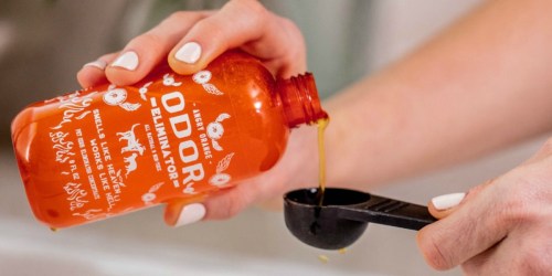 This Angry Orange Pet Odor Eliminator Has Almost 3,000 5-Star Reviews on Amazon