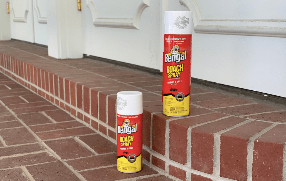 Two cans of Bengal Roach Spray sitting on brick steps