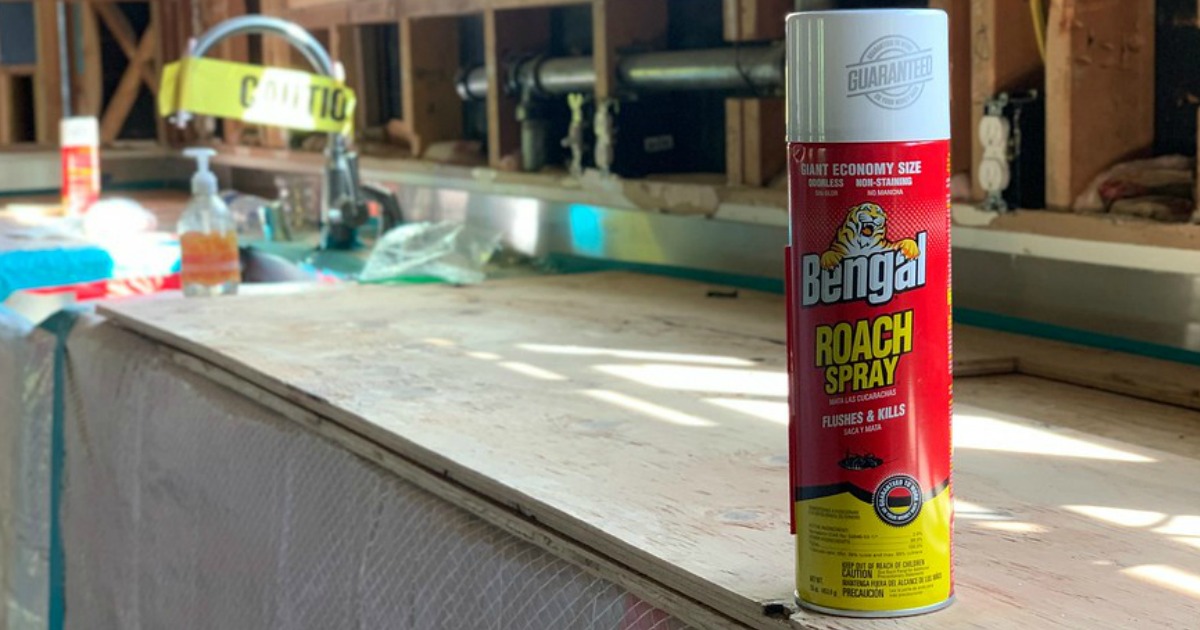 Bengal roach spray on a counter top