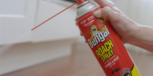 High Value $2/1 Bengal Roach Spray Coupon (Guaranteed to Work or Get Your Money Back)