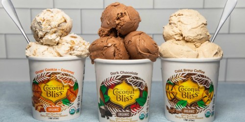 Free Coconut Bliss Ice Cream Product Coupon ($6.99 Value)