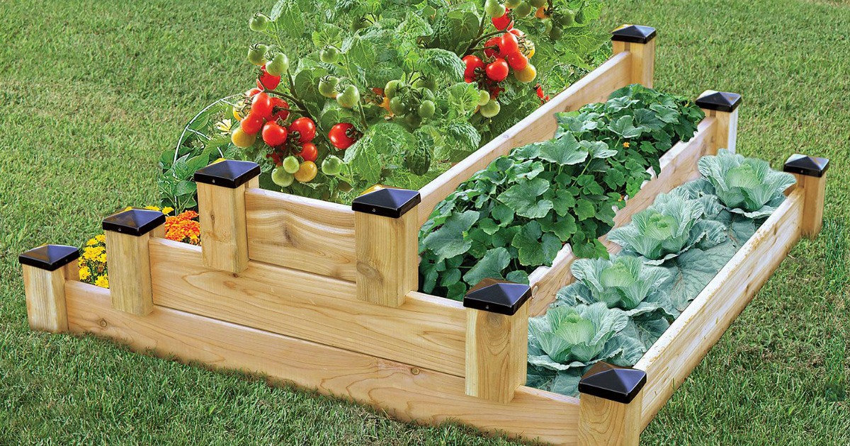 wooden tiered garden bed with flowers and vegetables