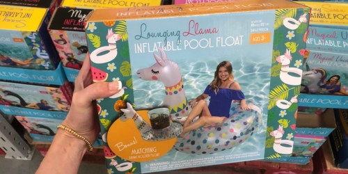 Inflatable Animal Pool Float w/ Matching Floatable Drink Holder Under $10 at Sam’s Club