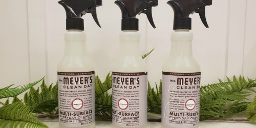 Mrs. Meyer’s Multi-Surface Cleaner 3-Packs Just $7.58 Shipped on Amazon | Only $2.52 Each