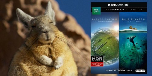 Planet Earth II & Blue Planet II 4K Ultra HD Blu-ray Only $33.59 Shipped (Regularly $70)