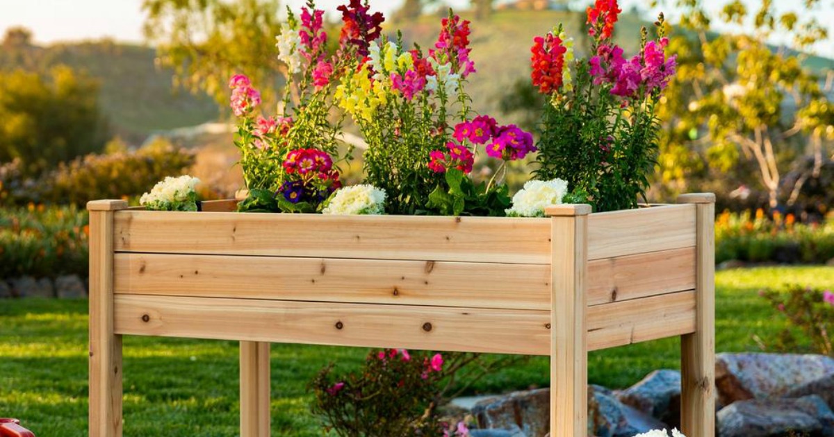 raised garden bed filled with bright flowers