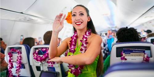 Up to $300 Off Southwest Vacation Packages (Travel to Hawaii, California, Cancun & More)