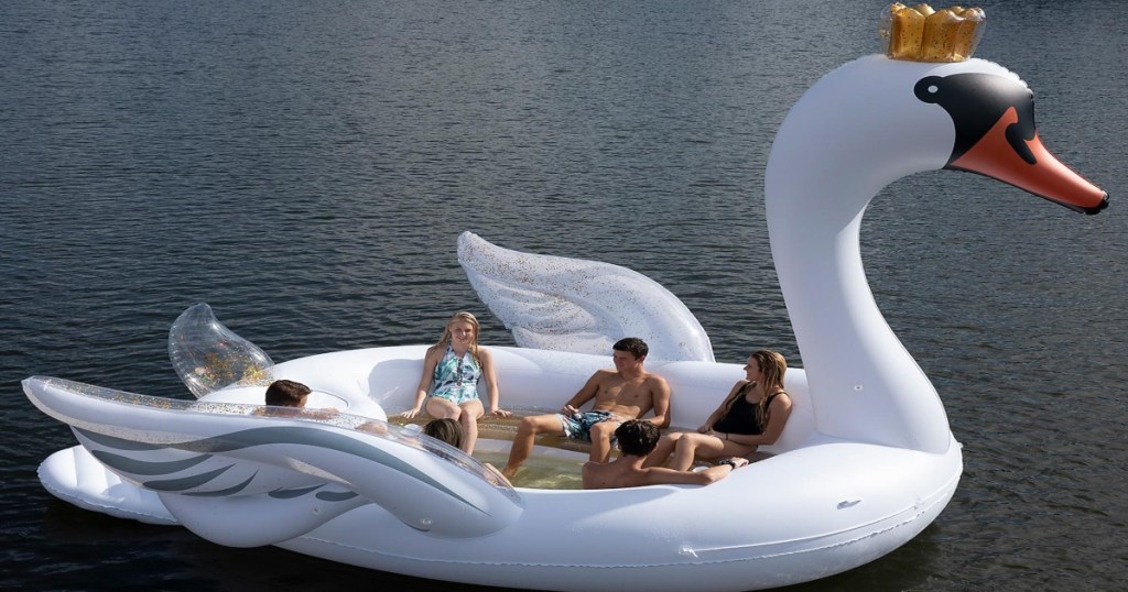 people sitting in massive swan float