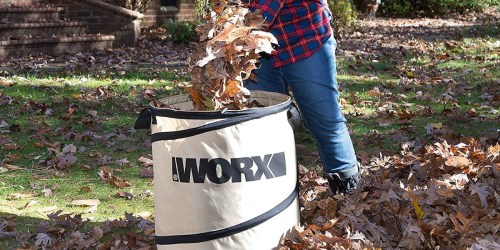 WORX Collapsible Yard Waste Bag Just $13.59 Shipped (Regularly $40)