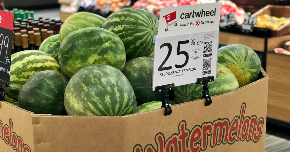 target watermelon slip and slide