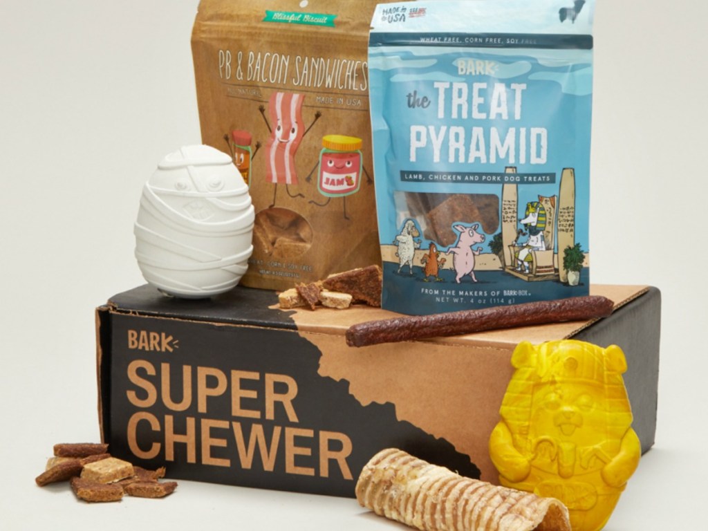 Super Chewer BarkBox Includes Tough Toys & More for Dogs That Love to