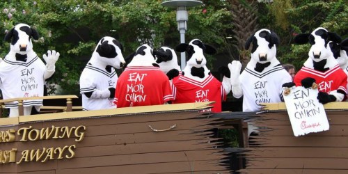 FREE Chick-fil-A Entrée on July 9th (Just Dress Like a Cow)