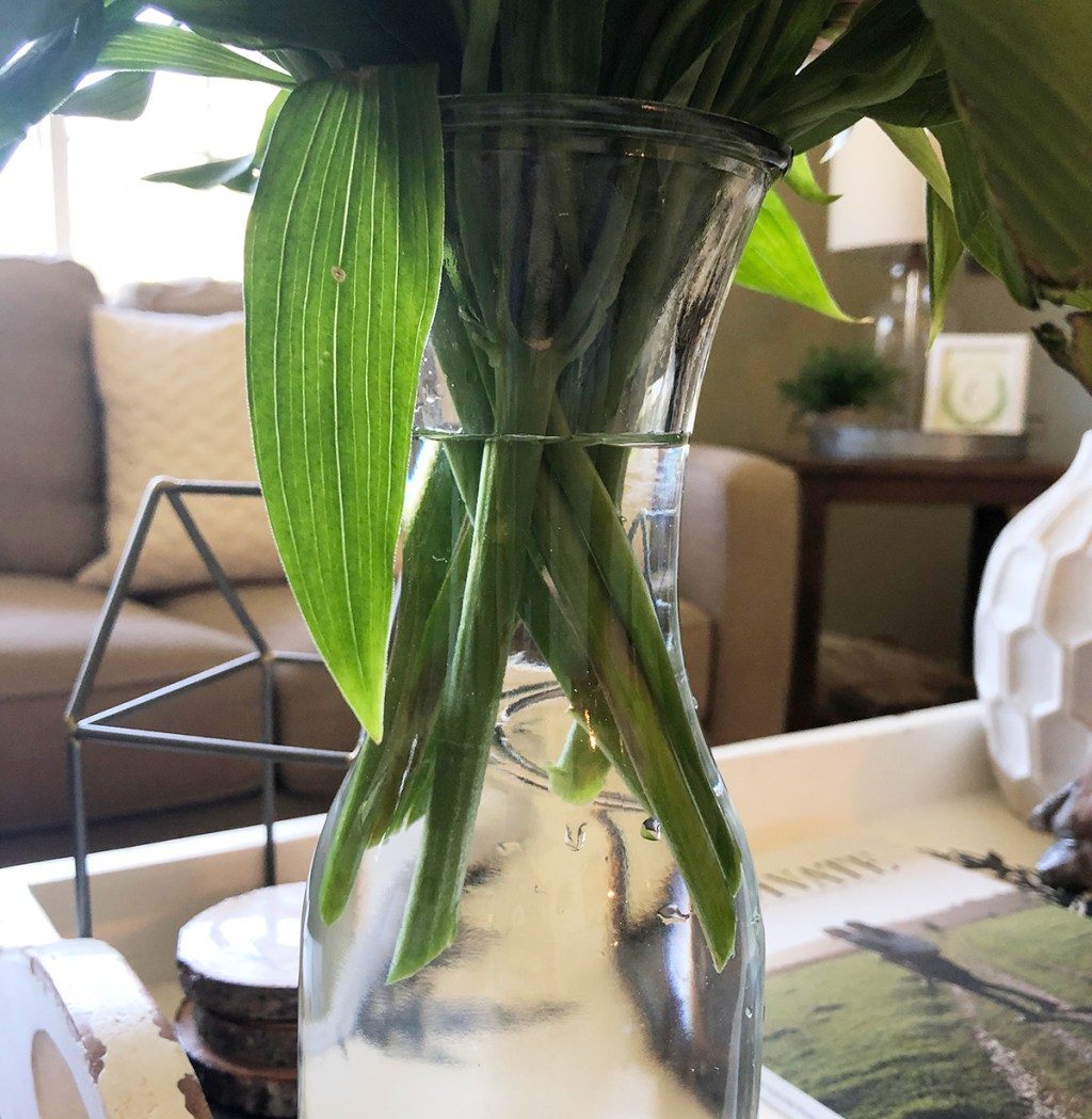 close up of fresh water in flower vase