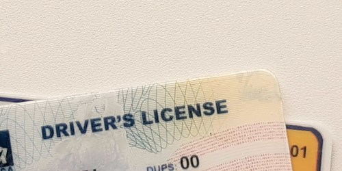 Skip a Trip to the DMV! These 36 States Let You Renew Your Driver’s License Online