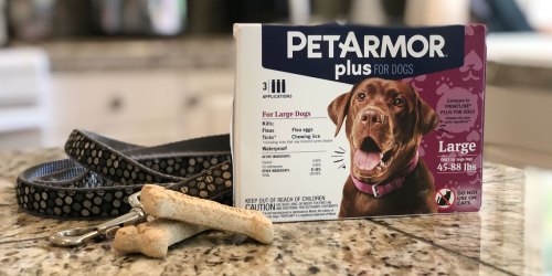 $4 Cash Back From Ibotta w/ PetArmor Plus Purchase at Walmart (Protect Cats & Dogs)