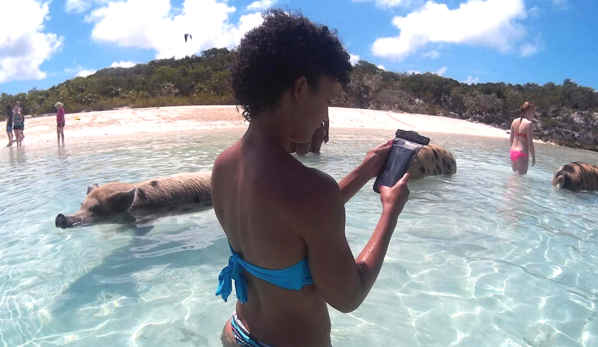 girl on phone in ocean with wild pigs in background beach hacks