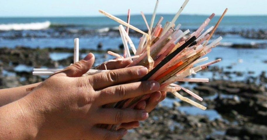hand holding pile of dirty straws at beach