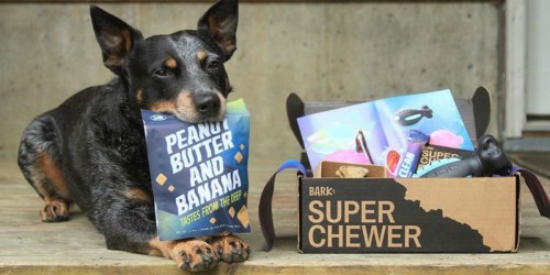 Does Your Dog Chew Through all Their Toys? Order This Super Chewer BarkBox…