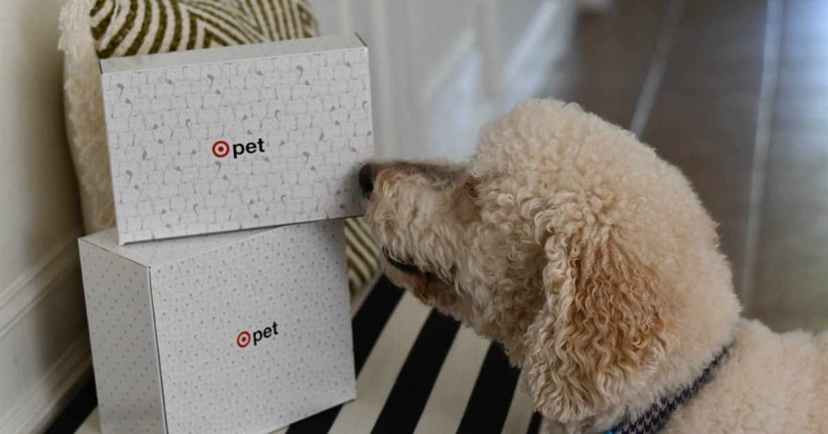 Target Dog or Cat Pet Boxes Just 7 Shipped