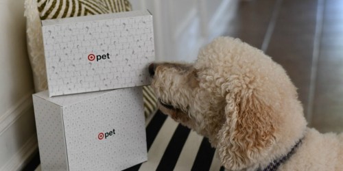 Target Dog or Cat Pet Boxes Just $7 Shipped