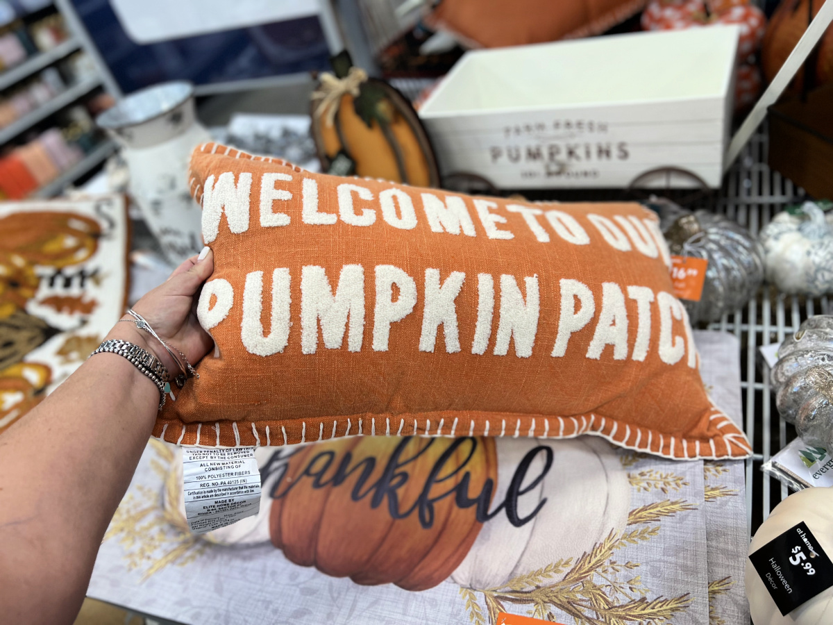welcome to our pumpkin patch pillow at home stores 