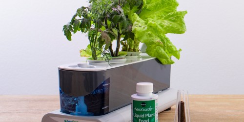 AeroGarden Sprout LED & Seed Kit Just $38.99 Shipped (Regularly $100)