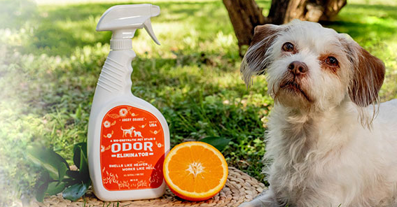 angry orange pet odor eliminator