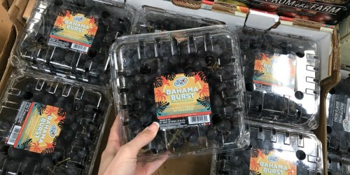 Bahama Burst Grapes are at Sam’s Club | Just $5.98 for a Juicy Taste of Paradise