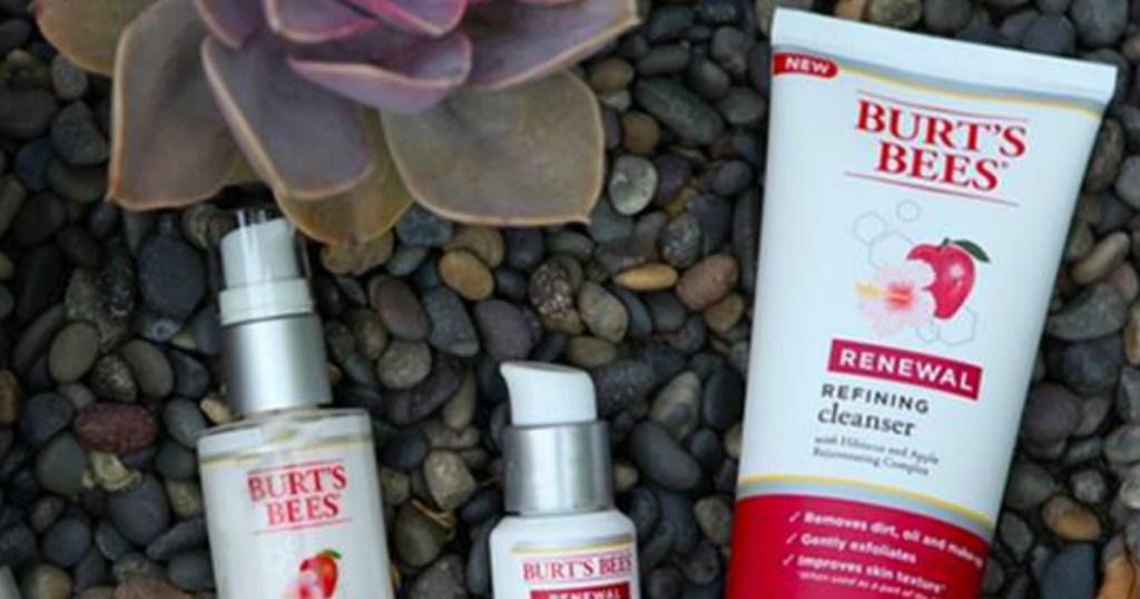 Burt's Bees Renewal Refining Cleanser next to succulents