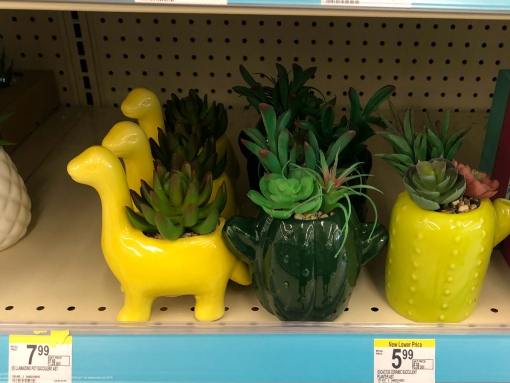 cute potted plants in decorative planters on shelf