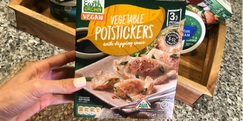We Tried ALDI’s Earth Grown Vegan Foods Line & Here’s What we Thought