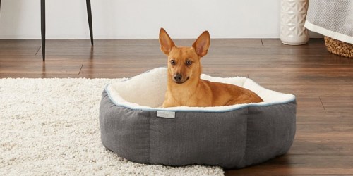 50% Off Pet Beds, Treats & More + Free Shipping at Chewy.com