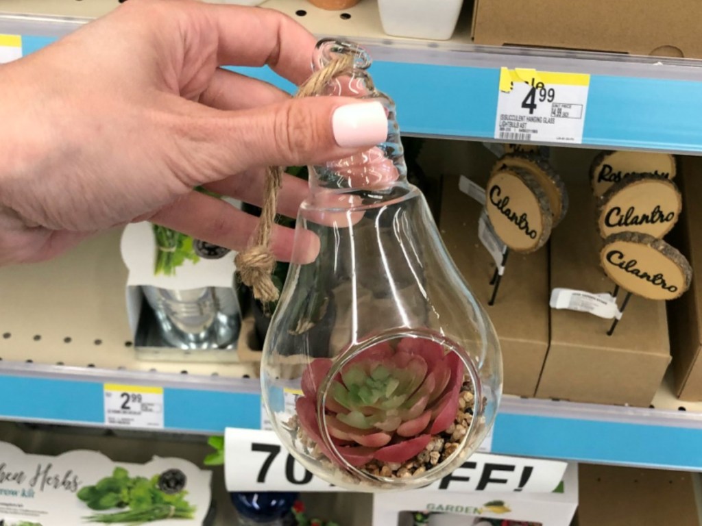 hand holding clear glass bulb with plants in it