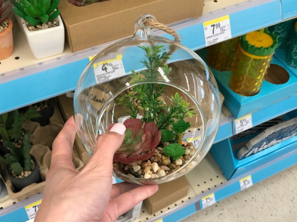 hand holding large glass bulb with plants in it