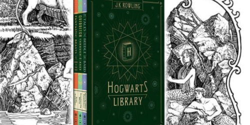 Harry Potter Hogwarts Library Only $18.32 (Regularly $39) – Includes 3 Hardcover Books