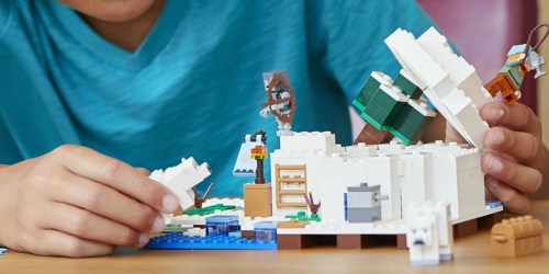 LEGO Minecraft The Polar Igloo Building Kit Only $18.99